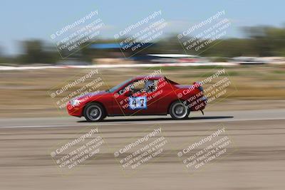 media/Oct-04-2025-OnGrid (Sat) [[44bd565ffa]]/Purple Group/Grapevine/